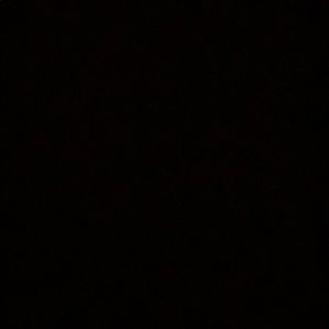 Meet your Posher, Shelby